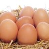 Buff Orpington Hatching Eggs