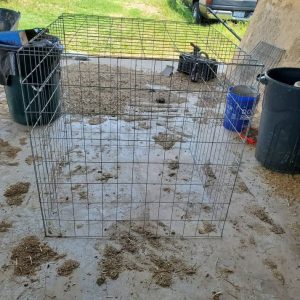 Gamefowl Rooster Cage/Chicken Pens- 39x39