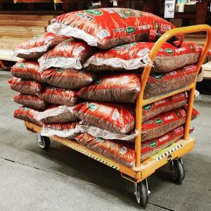 Gamecock Feed